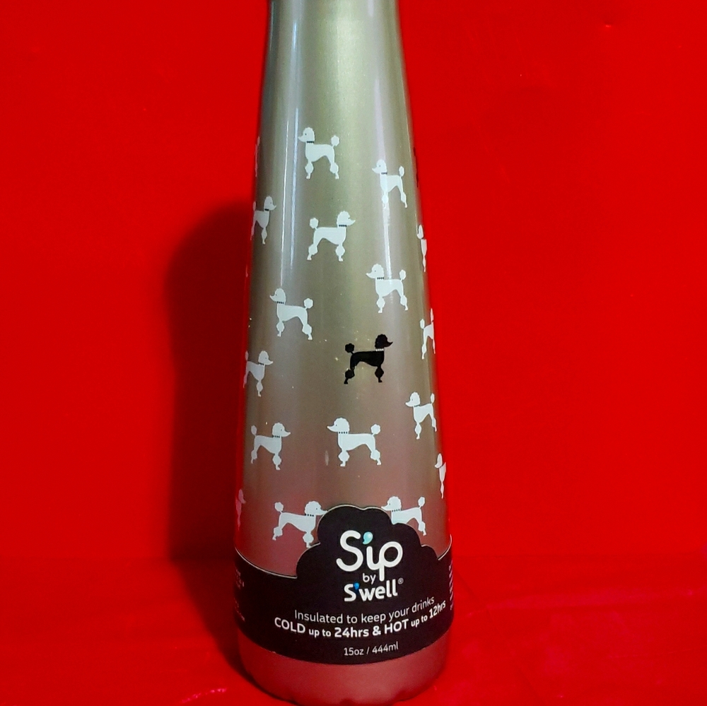Stainless steel, Insulated water bottle